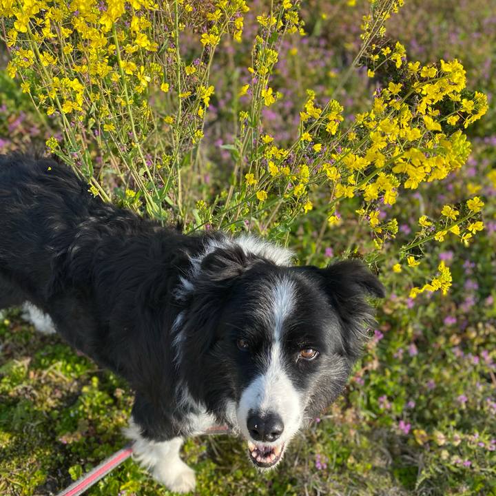 1c39be4d 80a7 4db9 8c9b d8ba92ff757b 1678233841179