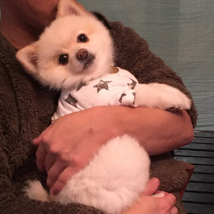 1c3a08ad e9a2 42d0 86de dcbccc9eb244 1609935465718