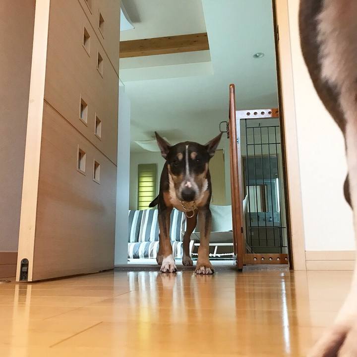 1c3a2d80 bc8f 461a b827 2104632b96c8 1528198009961