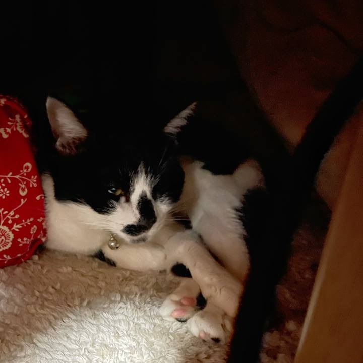 1c3a3207 34db 431b 83bc aff79941c948 1768717710693