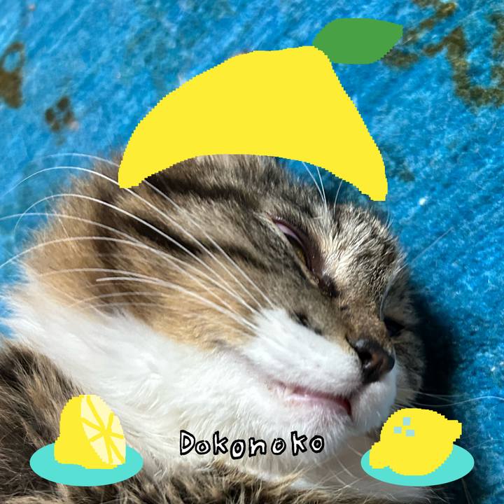 1c3a6a33 638f 4c15 aa25 c3f59c6eac39 1741162275861