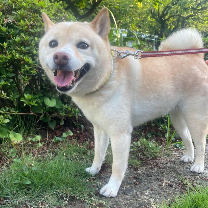 1c3a6c83 aa34 41ec 9877 b00e2a72e4b8 1658708300150