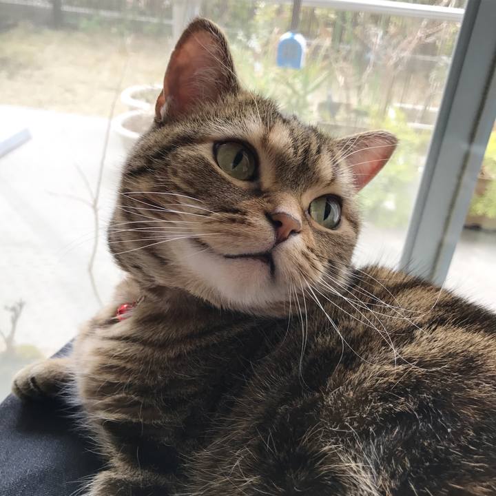 1c3a78a5 3ce1 47e0 b447 b79fce11fdbf 1519368797815