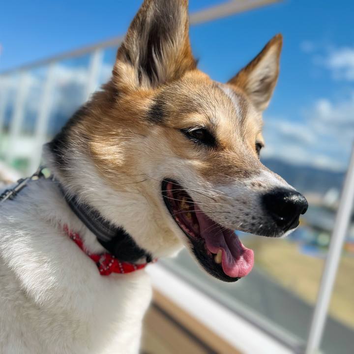 1c3ad16a c49f 449f bbe9 7f68243ac1b8 1774587220372