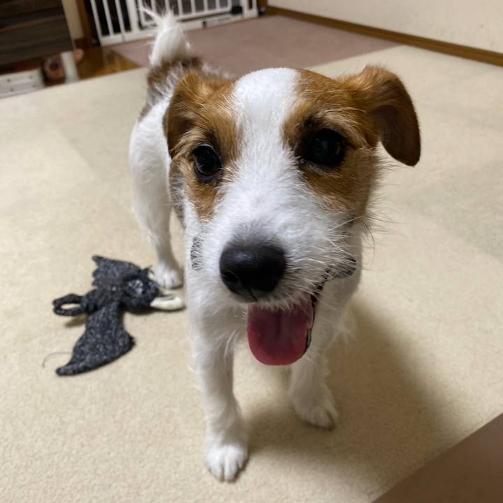 1c3b81f6 2a67 41c1 84f3 6194e84ddc95 1752097631729