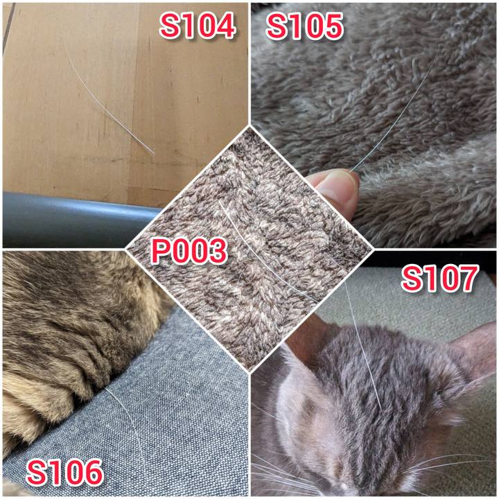 1c3b864e 29cc 4eb2 b795 7b0b7b5b05c6 1710648200446