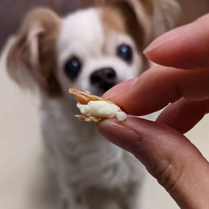 1c3b8ffb 4758 4b87 9562 a7913a680976 1650719248296