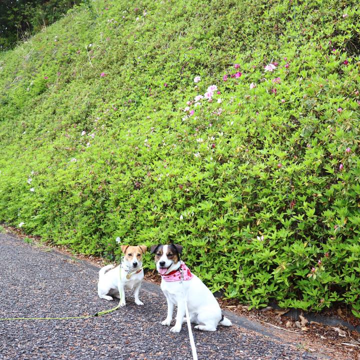 1c3bc31b 2911 4989 a215 c624b4151041 1555740880699