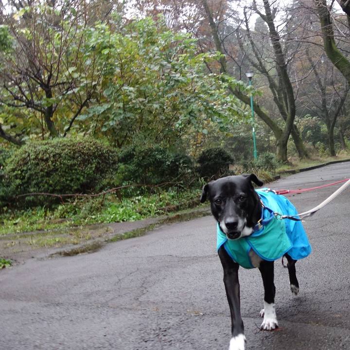 1c3bef40 93c6 4431 b38d f52c12dc27fc 1731633788986