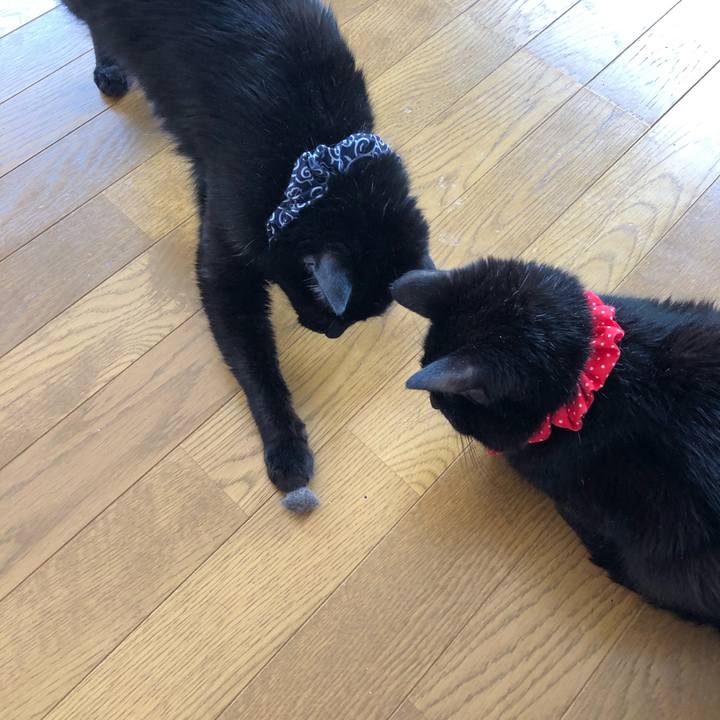 1c3bfd4f 983f 43cb a501 337c0b0e92f3 1554523616036