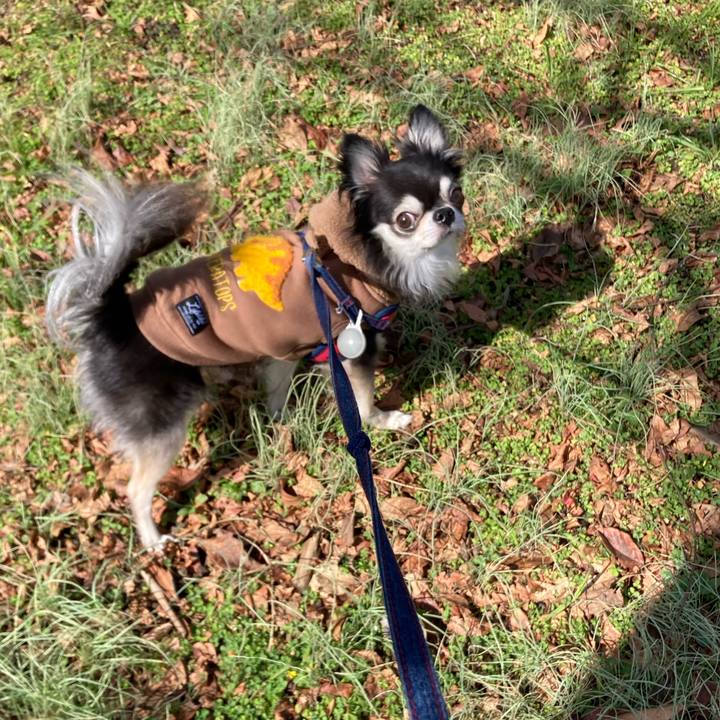 1c3c030e b2ac 40dd b64c 23d4b5118207 1708762368090