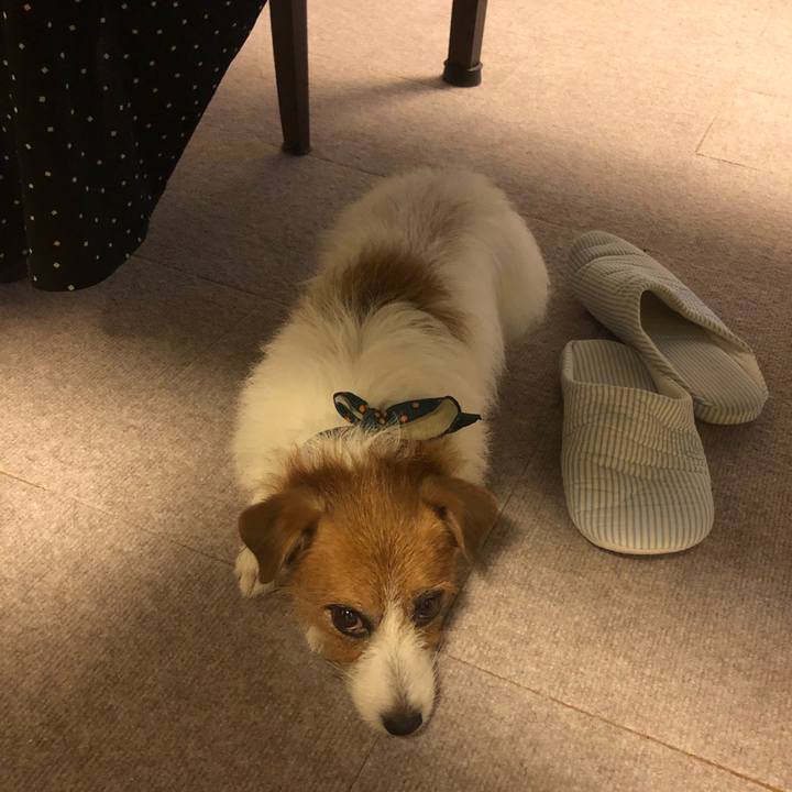 1c3c2d6e 8857 48cc 98b3 e03727afe6ca 1577609846527