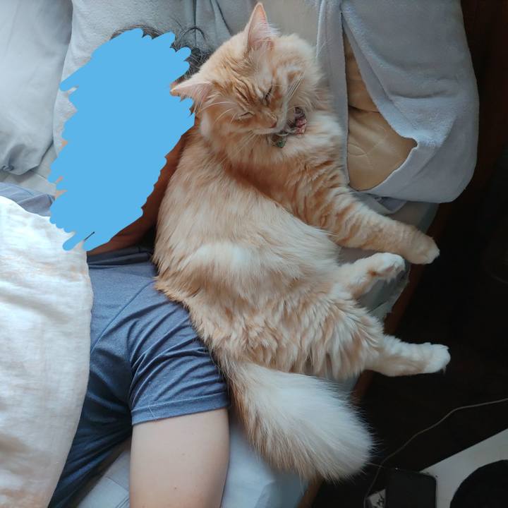 1c3c37fb 5a69 4746 8cff b0492024c855 1661293753687