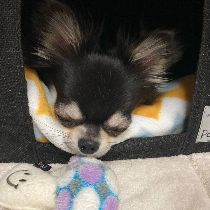 1c3c406f 2303 48ae 8166 07aa92c44c43 1632577385495