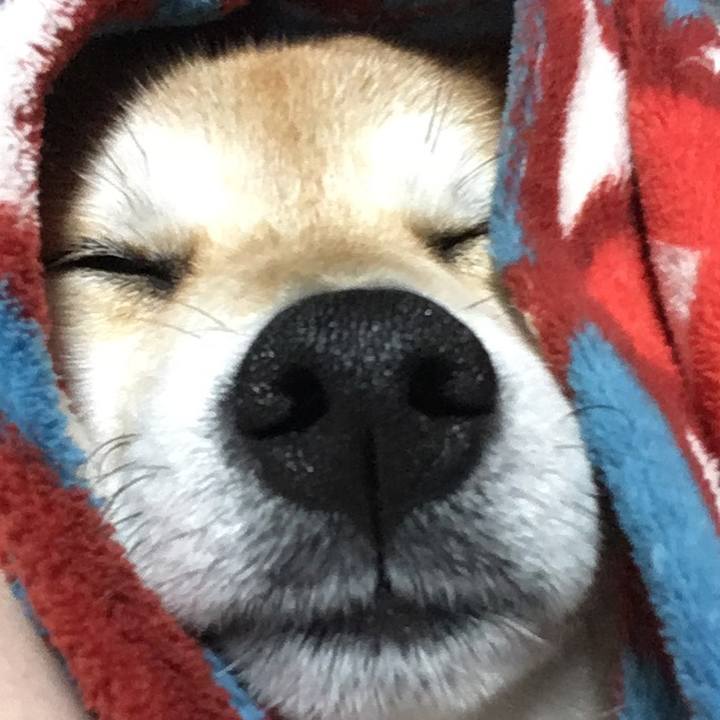 1c3c4a4c 005b 460e aeb5 3e0807b23e7e 1575628057083