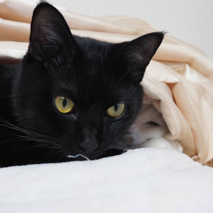 1c3c4ca5 563f 4153 8c3b 9ffb14bcaea5 1540732334319