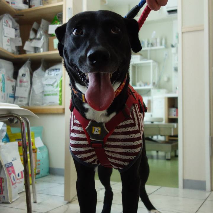 1c3c69dd 34c2 413f bfd5 543bbaaafb77 1593405507973