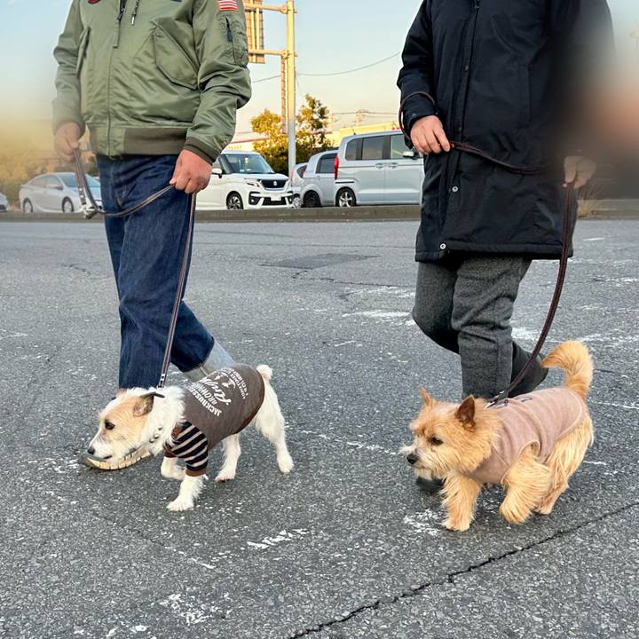 1c3c724c f583 4da2 a7ad eea89fa23676 1737813512691