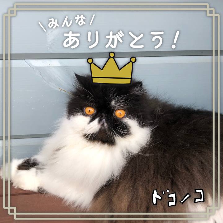 1c3d109b 1b89 43e8 87e6 d26b79f36985 1622864716223