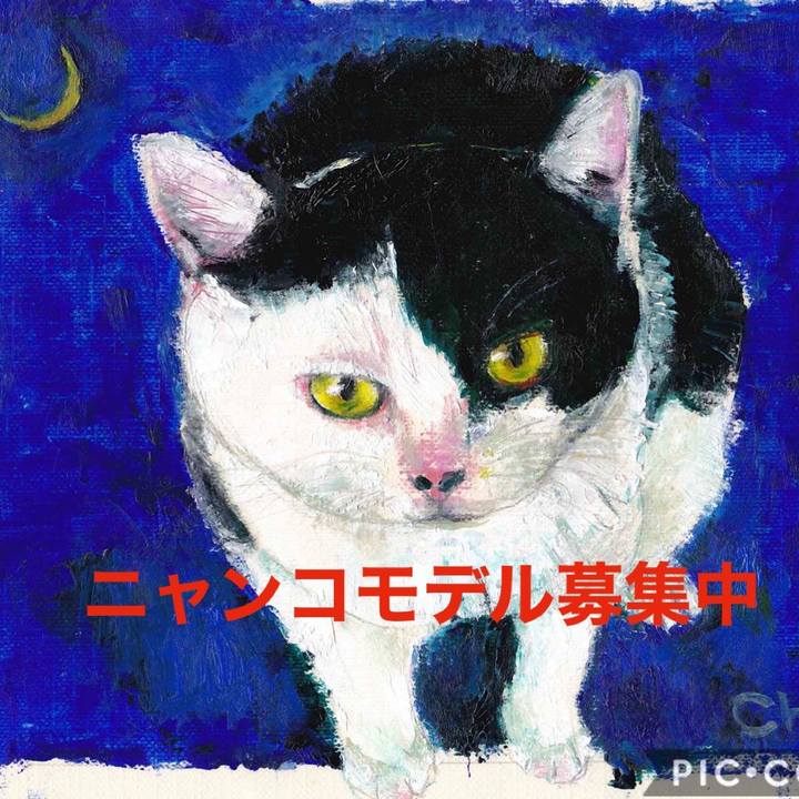 1c3d3212 2235 4059 9330 21a11abedef1 1574897556839