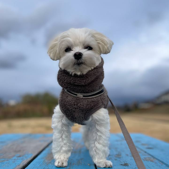 1c3d3a56 8b75 4199 9f86 1222440f60eb 1764766836912