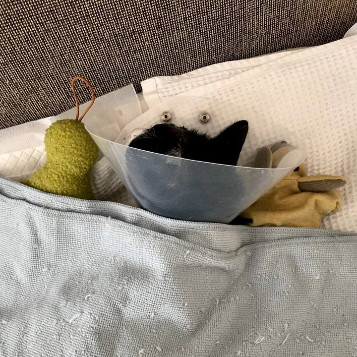 1c3d5035 ec46 4f20 8526 c301f46a5744 1586066481028