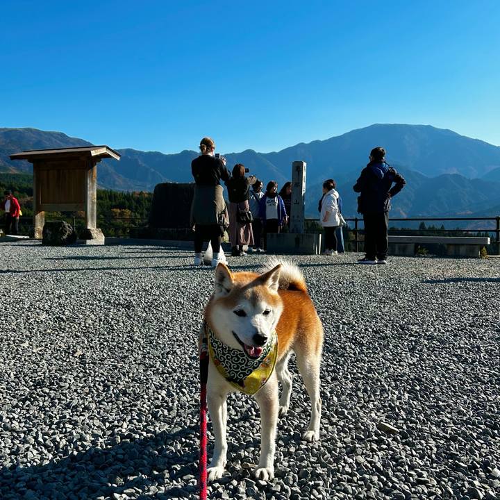 1c3d5747 229f 443a 9bb6 2e9e08847b05 1763710659032