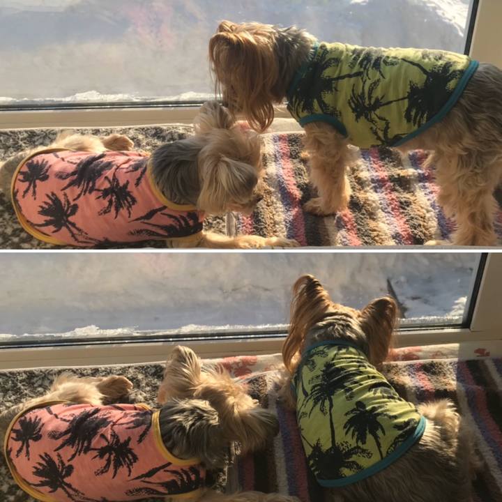 1c3d89ce 4fc3 42b0 855d cf7c958b31e1 1581235705279