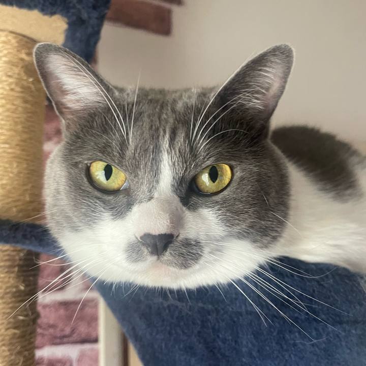 1c3dea7a 044f 4f50 97de 2519040141b3 1729036201892