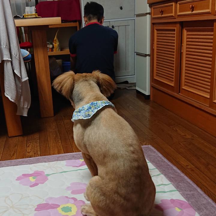 1c3df556 53a7 4c35 a551 3b8e2f3f742d 1560591171333