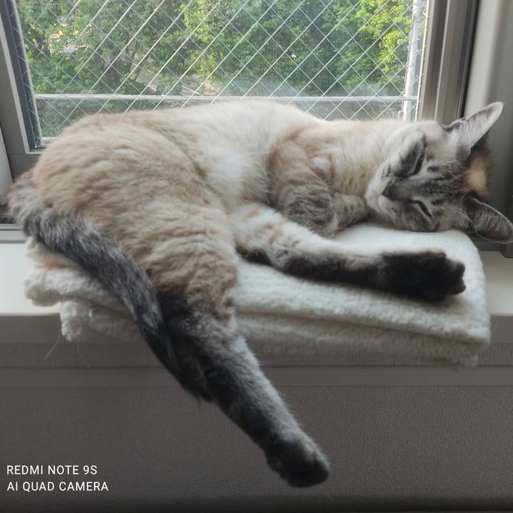 1c3e0e6e debf 4150 bf3c c1ae07f4040e 1621037999326