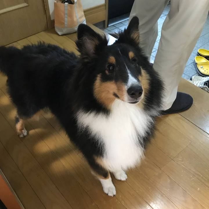 1c3e1af2 58f8 4743 8875 19d86c5ca292 1530051188191