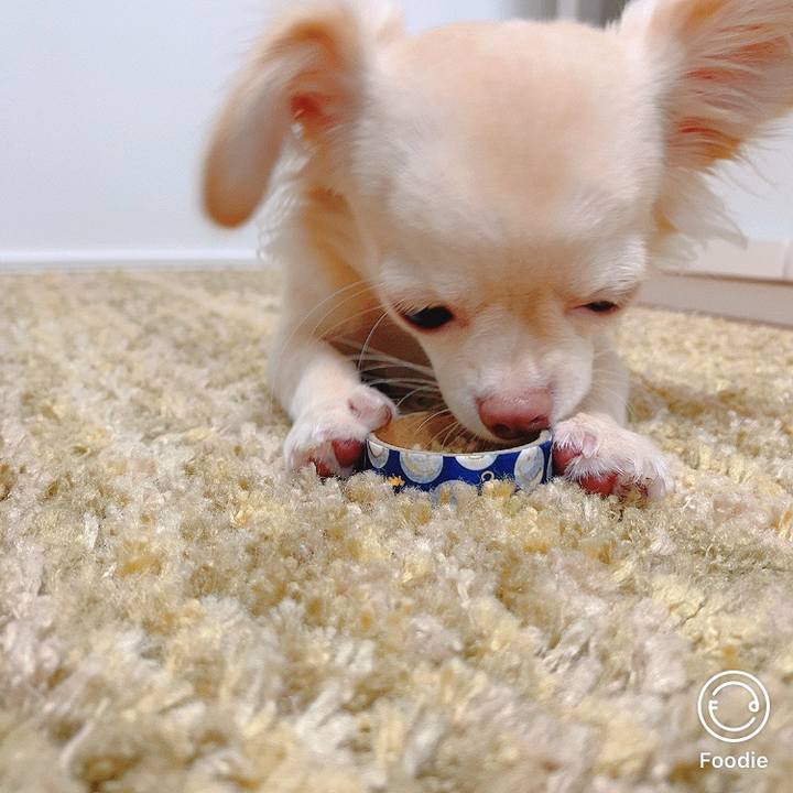 1c3e56f2 ea24 4372 9e90 17d306dc0828 1602665885569