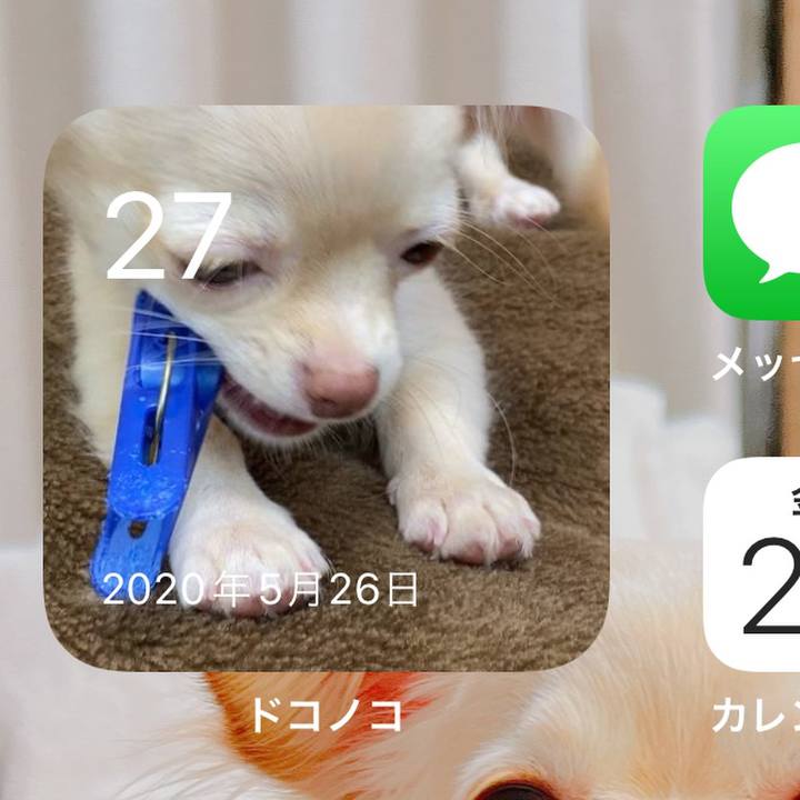 1c3e5c3a ce2c 40b5 a81b c3c83e6d55df 1653645710980