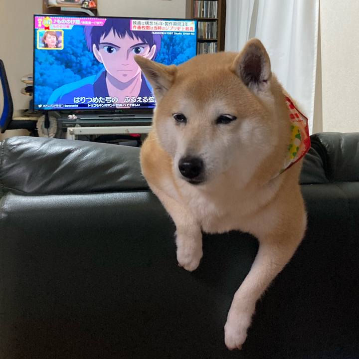 1c3e8cda c0ba 4ef9 a228 f1e2f555fc65 1616671757187