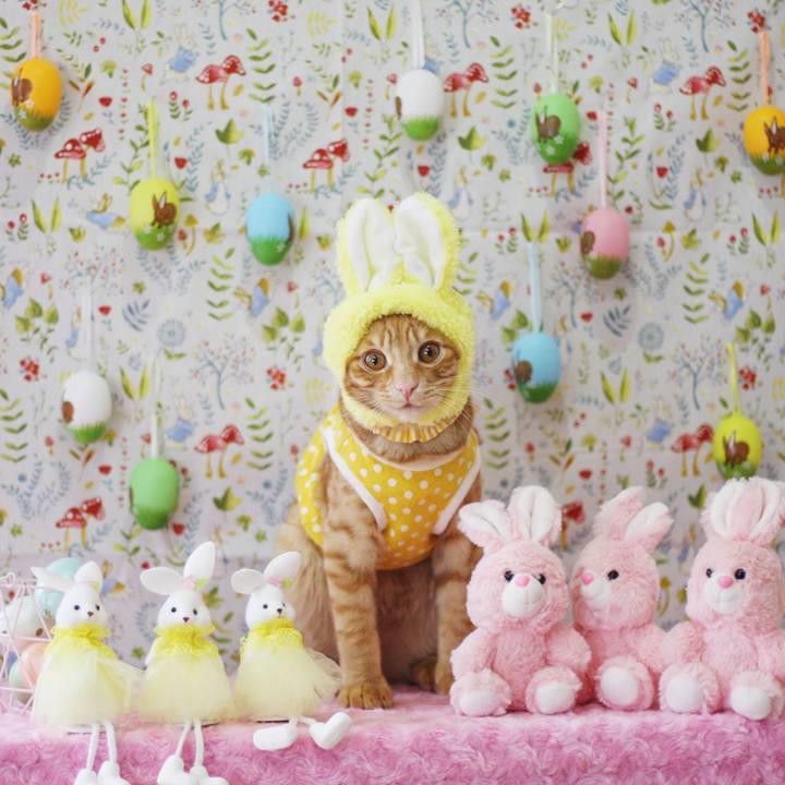 1c3ea245 d04b 41af 9406 da4ec8dfcf2e 1680658883049