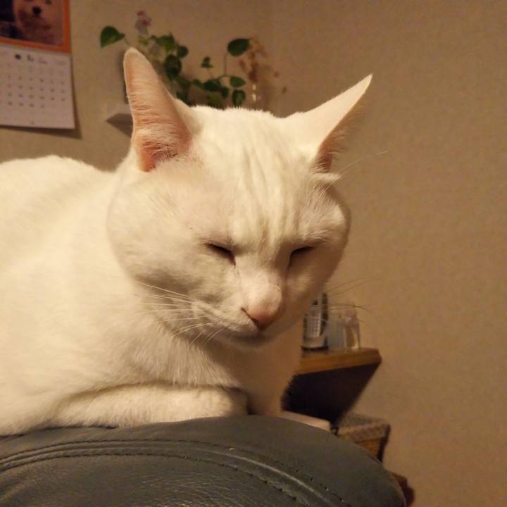 1c3eecba 07f4 4d10 8209 564535e793e0 1547899836232