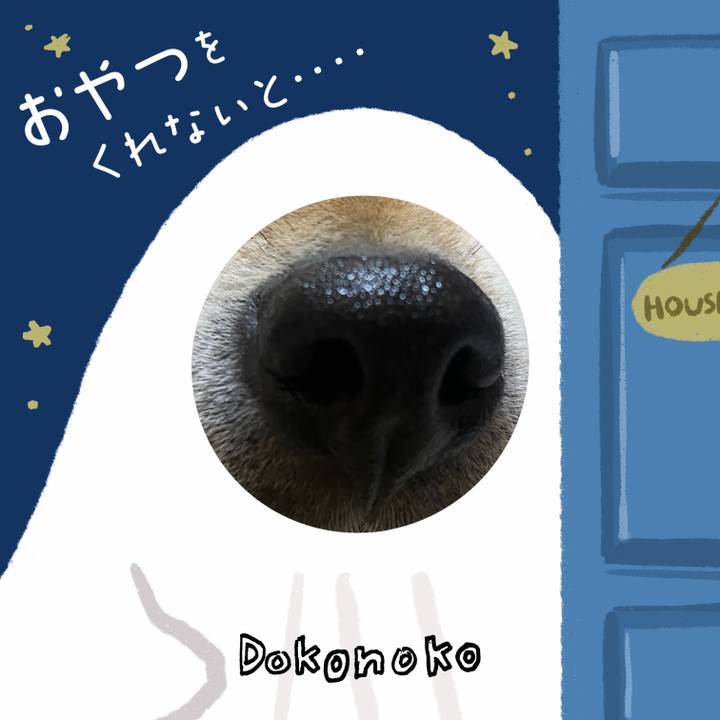 1c3eecc0 5bfc 4975 b0f1 bd84456c1aa2 1729295638347