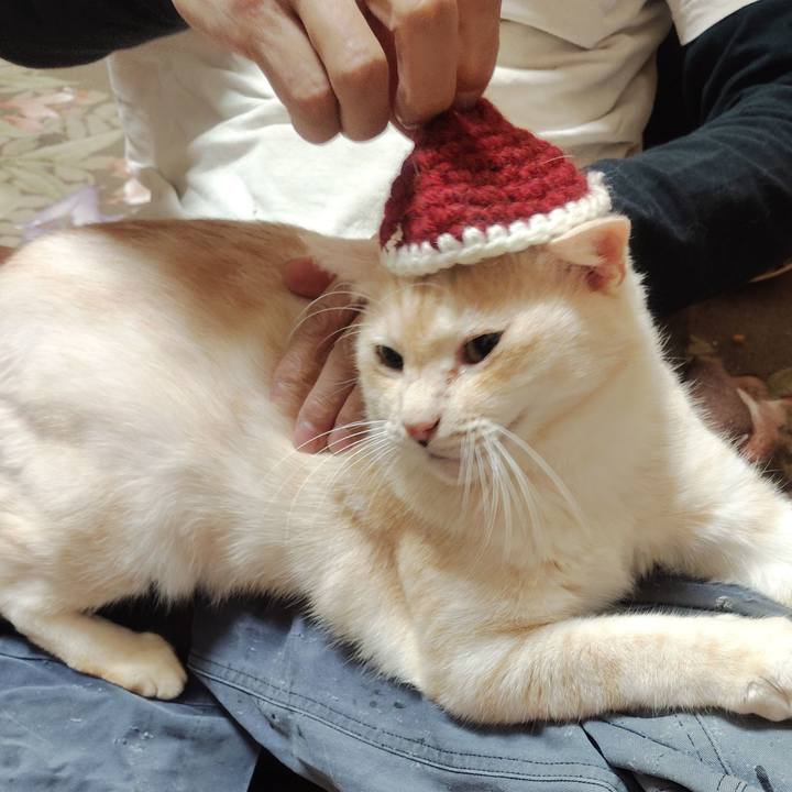 1c3f148f 1628 43d0 a2d3 4861e217fd7b 1735078843273