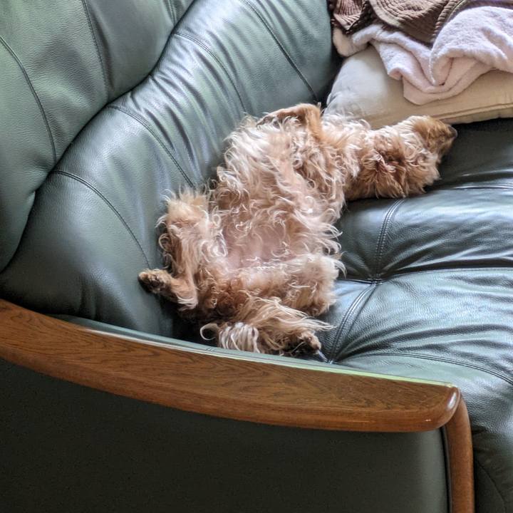 1c3f3085 0d12 4c89 88d2 8055e7524211 1719269575329