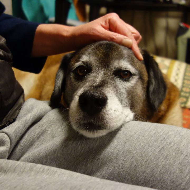 1c3f32cd 37da 4e1d bdde e9dfb3874d2b 1633134564604