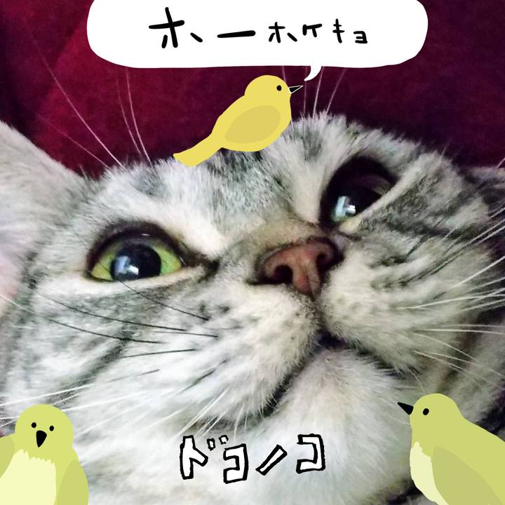 1c3f51ce 4e3d 467d 91da 91fc6c944b49 1711254480882