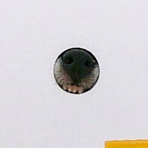 1c3f7112 842d 41fb 99f7 de7ce019f360 1571543331372