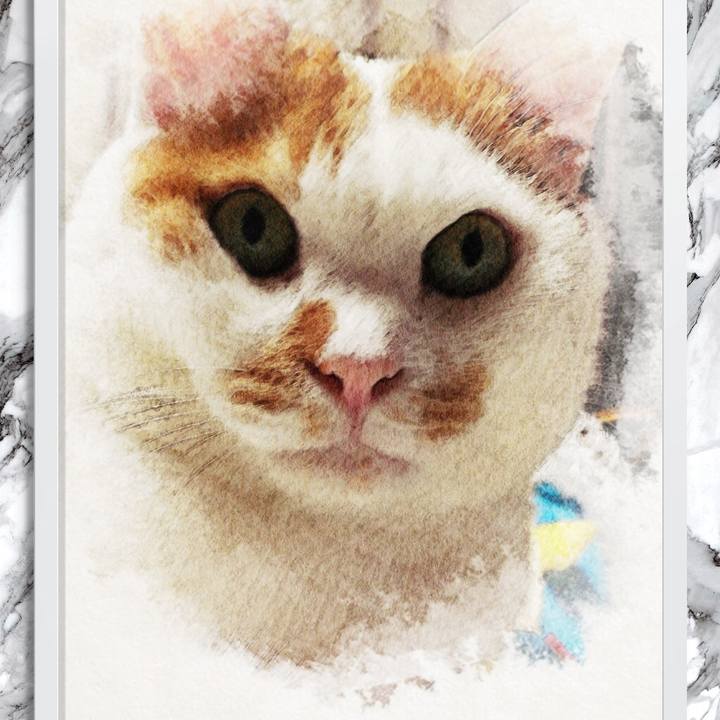 1c3f7740 5139 4c2a 856d 81128fd32e63 1508934732625