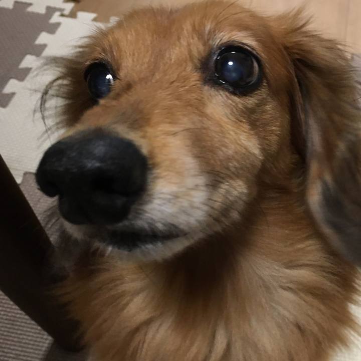 1c3f7c8a 48e6 4b9a 8d81 1db381c9041e 1572092904441