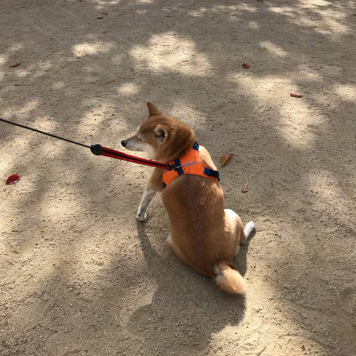 1c3f82f5 4e40 44da 98c4 2eec7292ed1e 1542293182993