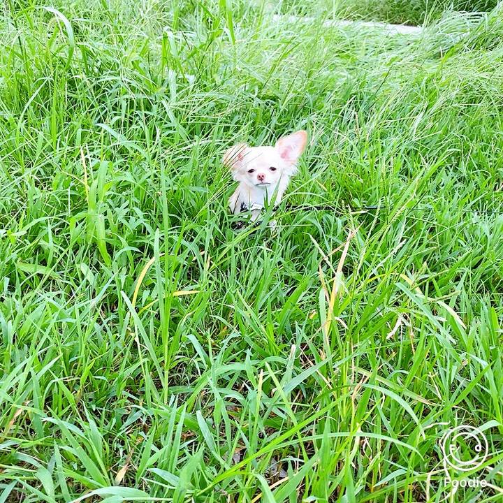 1c3fa9ab cbf2 4341 bef9 9b5afc5a9e5c 1600574988917