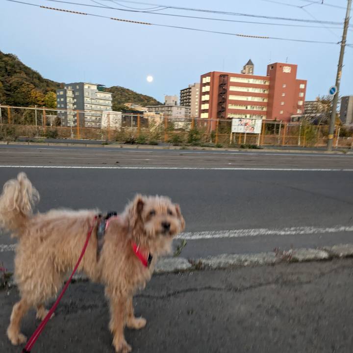 1c3fc3e2 7ec7 4475 b30a 89991932cca6 1729253886232