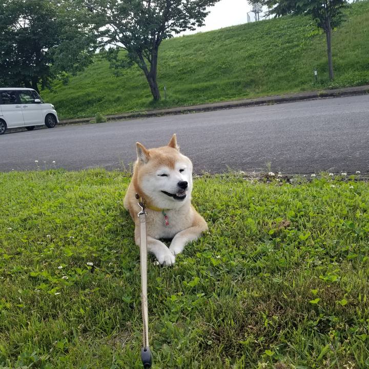 1c3fd138 56e0 475f 8d29 b21844fd26e1 1684655124609