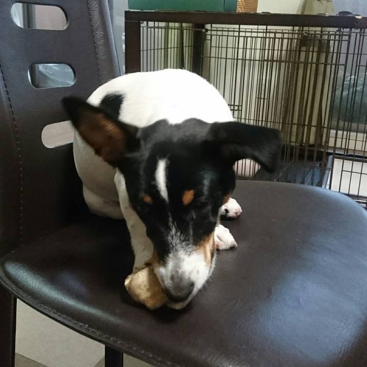 1c3fd177 66c9 4b17 b71f def77b92782a 1516587365450